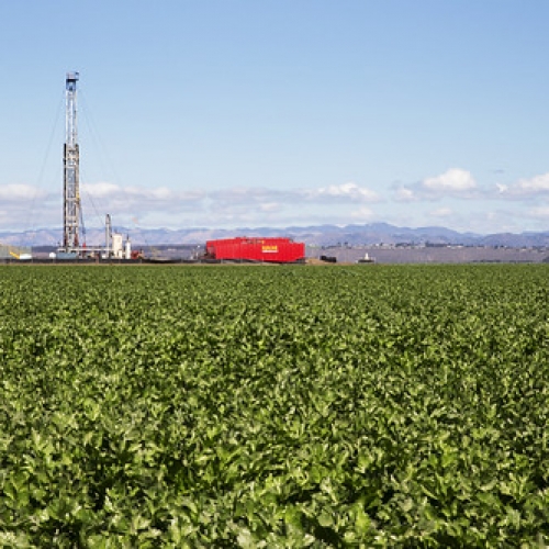 7,000 More 7,000 More • <a style="font-size:0.8em;" href="https://www.flickr.com/photos/128012869@N08/15677348185/" target="_blank">View on Flickr</a>