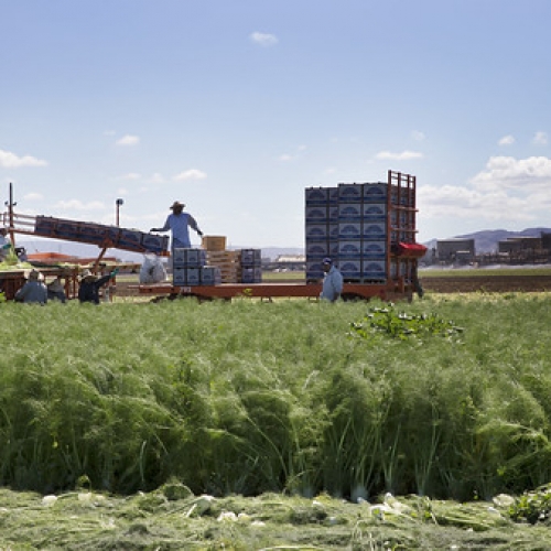 Refining Next to Food Refining Next to Food • <a style="font-size:0.8em;" href="https://www.flickr.com/photos/128012869@N08/15491929398/" target="_blank">View on Flickr</a>