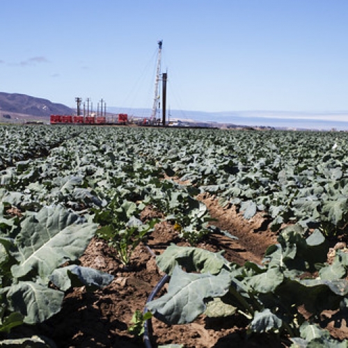 Among the Leaves Among the Leaves • <a style="font-size:0.8em;" href="https://www.flickr.com/photos/128012869@N08/15057369254/" target="_blank">View on Flickr</a>